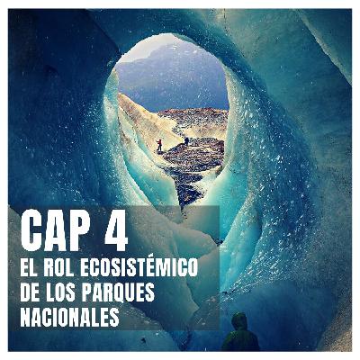 El Rol Ecosistémico de los Parques Nacionales