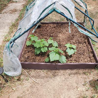 Self Care With Covid 19