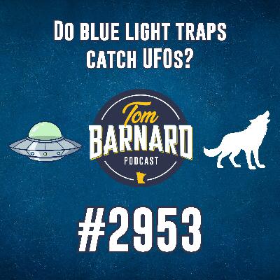 Do blue light traps catch UFOs? - #2953 Do blue light traps catch UFOs? - #2953