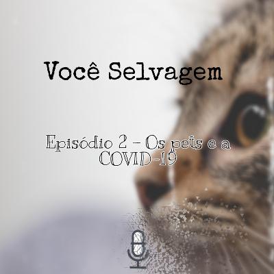 Você Selvagem - Episódio 2 Você Selvagem - Episódio 2