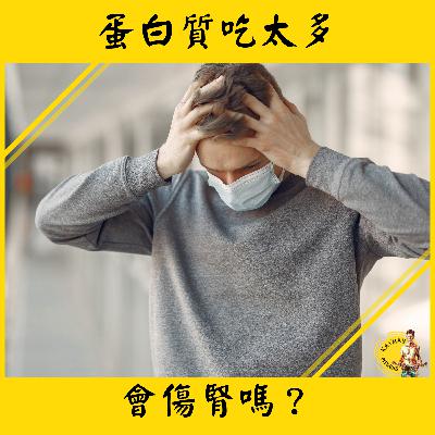 聊減肥#22集 I 蛋白質吃太多會傷腎嗎？