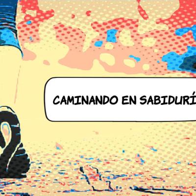 Caminando en sabiduría Caminando en sabiduría