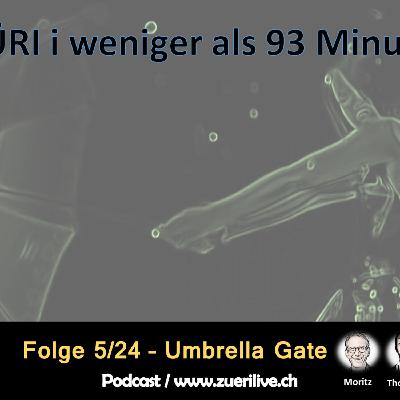 Umbrella Gate  -  5/24