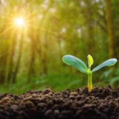 So your thinking about giving up? Hmmm🤔 So your thinking about giving up? Hmmm🤔