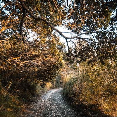 More happy memories I forgot to mention and some unwanted sexual advances