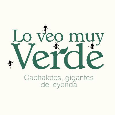 Lo Veo Muy Verde - Cachalotes, gigantes de leyenda