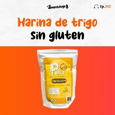 Ya existe la primera harina de trigo sin gluten del mundo (Ep. 242)