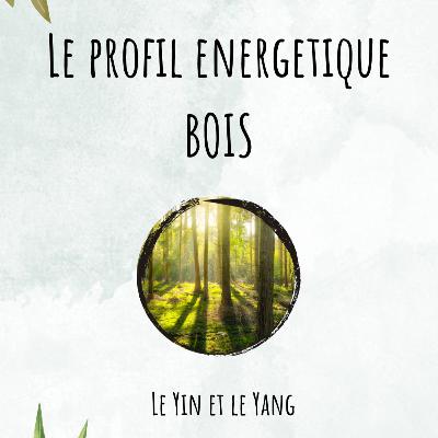 Profil énergétique BOIS