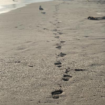 Optimiza tu Vida en Areas De Importancia