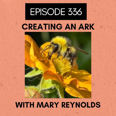 Episode 336: Creating an Ark