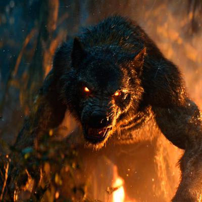 ESPECIAL NAHUALES: Las 3 historias más aterradoras jamás contadas | Leyendas Mexicanas