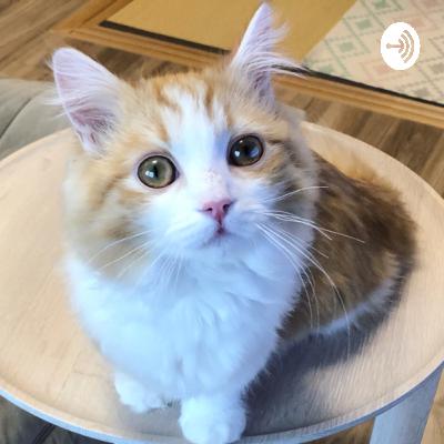 【Lesson2】先生がディズニーランドへ初めて行った日