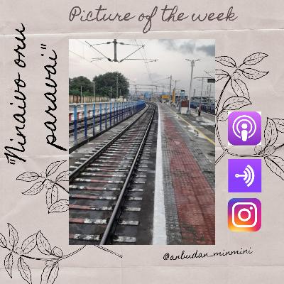 "Ninaivo oru paravai "- A piccast!