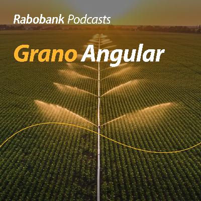 Agua en debate, apoyos a bovinos (...en EEUU), granos y más Agua en debate, apoyos a bovinos (...en EEUU), granos y más