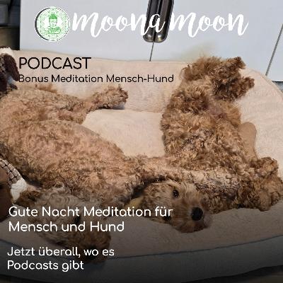 Gute Nacht Meditation für Mensch und Hund Gute Nacht Meditation für Mensch und Hund