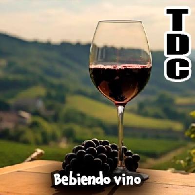 TDC Podcast - 238 - Bebiendo vino con Santi Rivas