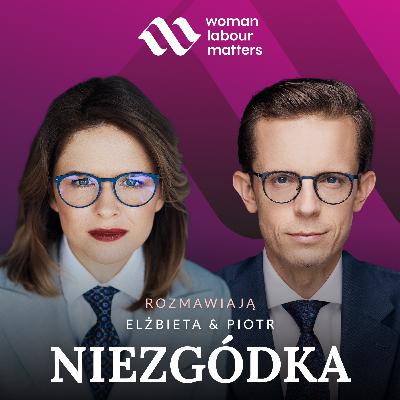 B2B vs. etat. Praktyczne konsekwencje nowych uprawnień PIP.