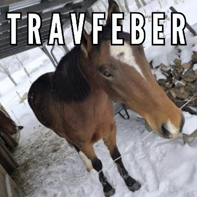 [345] De ÄNGSLIGA travpoddarna