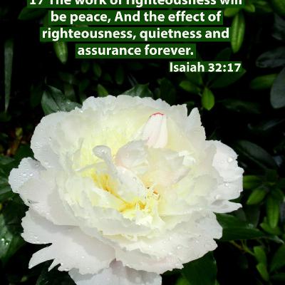 Peace and Assurance: Isaiah 32:17