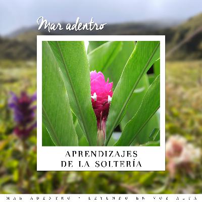 12. Aprendizajes de la soltería