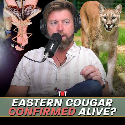 Eastern Cougar Found, Autralia's Heaviest Insect Discovered, and Bucket List Trips