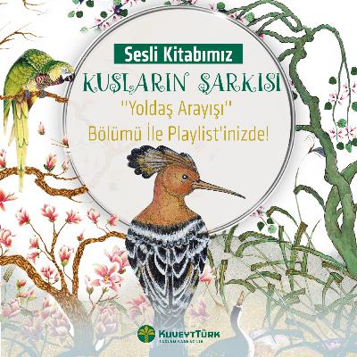 Kuşların Şarkısı - 2. Bölüm Yoldaş Arayışı