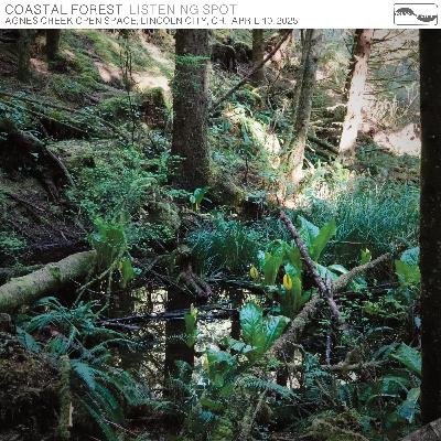 Coastal Forest Coastal Forest