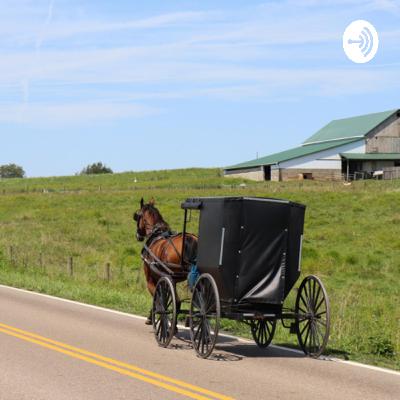 Answers About the Amish: Community Edition
