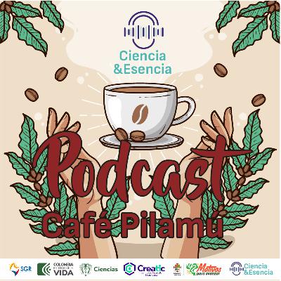Café Pilamú