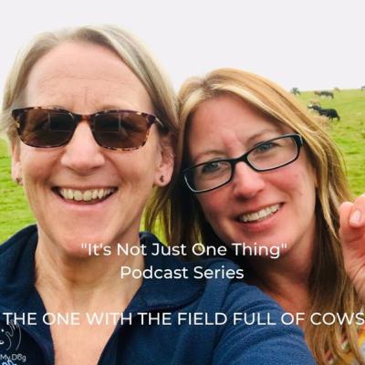 Series 2 - Ep 7 - Harriet & Becky Talk Physio In a Field Full of Cows - Part 2