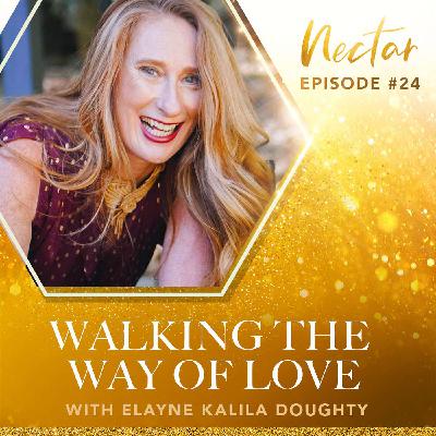 Walking the Way of Love