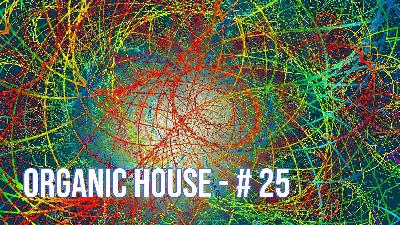 Organic House # 25