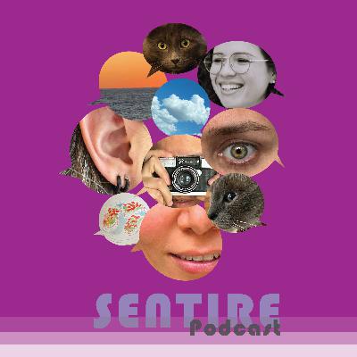 T2.EP14.ODONTÓLOGÍA/ LA IMPORTANCIA DE APAPACHO A TUS PACIENTES CON SIARIS GUZMÁN