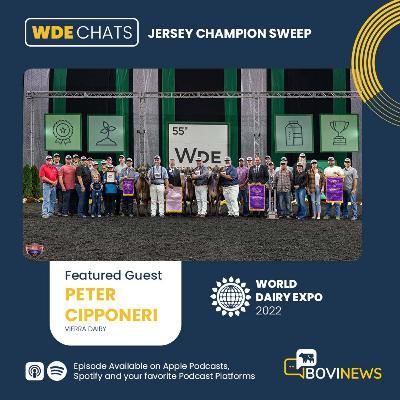 BoviNews WDE 2022 Chats: Jersey Champion Sweep with Peter Cipponeri of Vierra Dairy