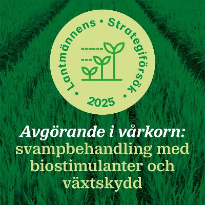 108: Avgörande i vårkorn: svampbehandling med biostimulanter och växtskydd