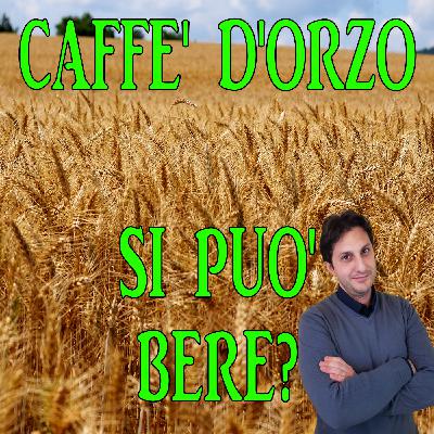 Episodio 104 - POSSO BERE IL CAFFE' D'ORZO? - Benefici e lati negativi di questa bevanda Episodio 104 - POSSO BERE IL CAFFE' D'ORZO? - Benefici e lati negativi di questa bevanda