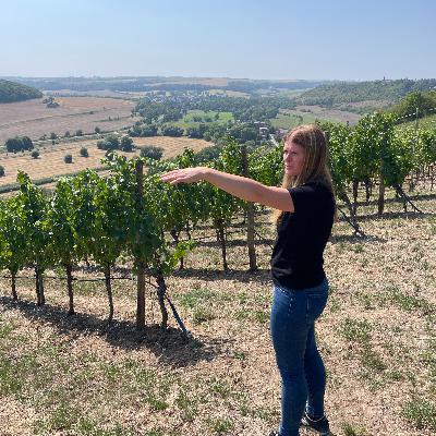 VDP. Weingut Böhme & Töchter (Germany, Saale-Unstrut) - Cool Climate Wine Summit Exhibitor Interviews