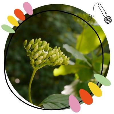 Et si photographier la beauté nous aidait à nous voir plus beaux ? - avec Ihssane Et si photographier la beauté nous aidait à nous voir plus beaux ? - avec Ihssane