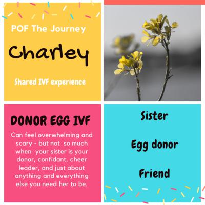 Shared IVF experience