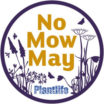 No Mow May - lazy gardening that’s good for the planet