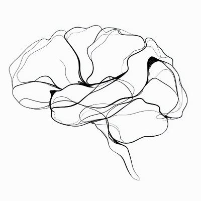 🧠 Jeu et Créativité Rajeunissent le Cerveau