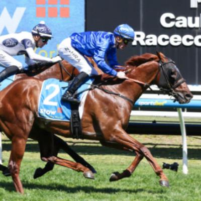 Punter's Preamble - 2025 Derby Day