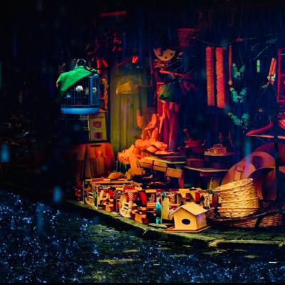 Rainy Night Outside Pet Shop