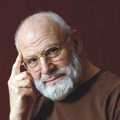 No Other Choice, The Testament of Ann Lee, New Music, Kathe Koja, Oliver Sacks Debunked