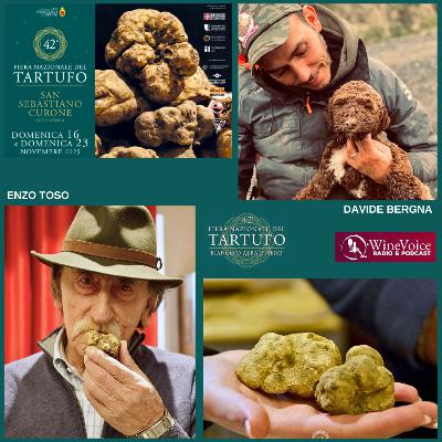 Le Terre del Vino: 42° Mostra Tartufo S.Sebastiano Curone (AL) - Enzo Toso e Davide Bergna: Il Tartufo per vocazione Le Terre del Vino: 42° Mostra Tartufo S.Sebastiano Curone (AL) - Enzo Toso e Davide Bergna: Il Tartufo per vocazione