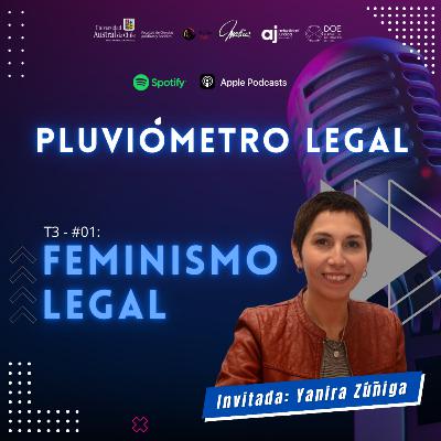 Temp 3 - #1: Feminismo Legal