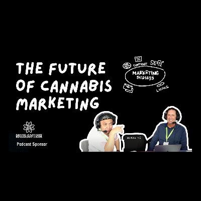 The Future of Cannabis Marketing: OneQ's Million-Strong Consumer Research Platform