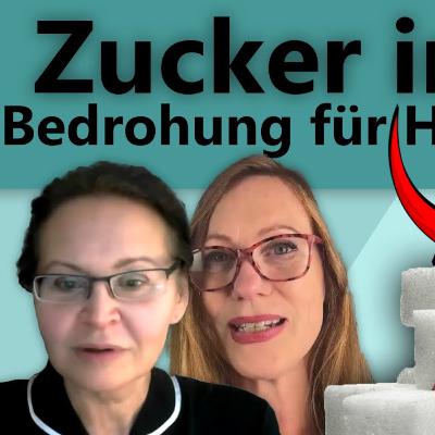 Insulin-Falle - Insulinresistenz überwinden, Ärztin zeigt Schritt für Schritt wie es geht