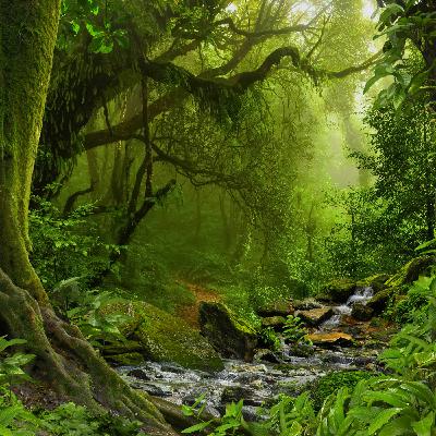 Be Aware of the Rhythmic Flow of Nature