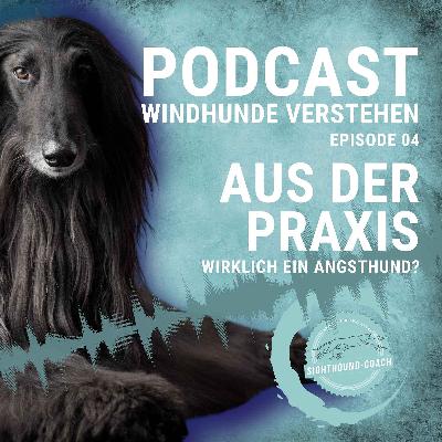 Praxis-Beispiel aus meiner Arbeit mit den Windhunden Praxis-Beispiel aus meiner Arbeit mit den Windhunden